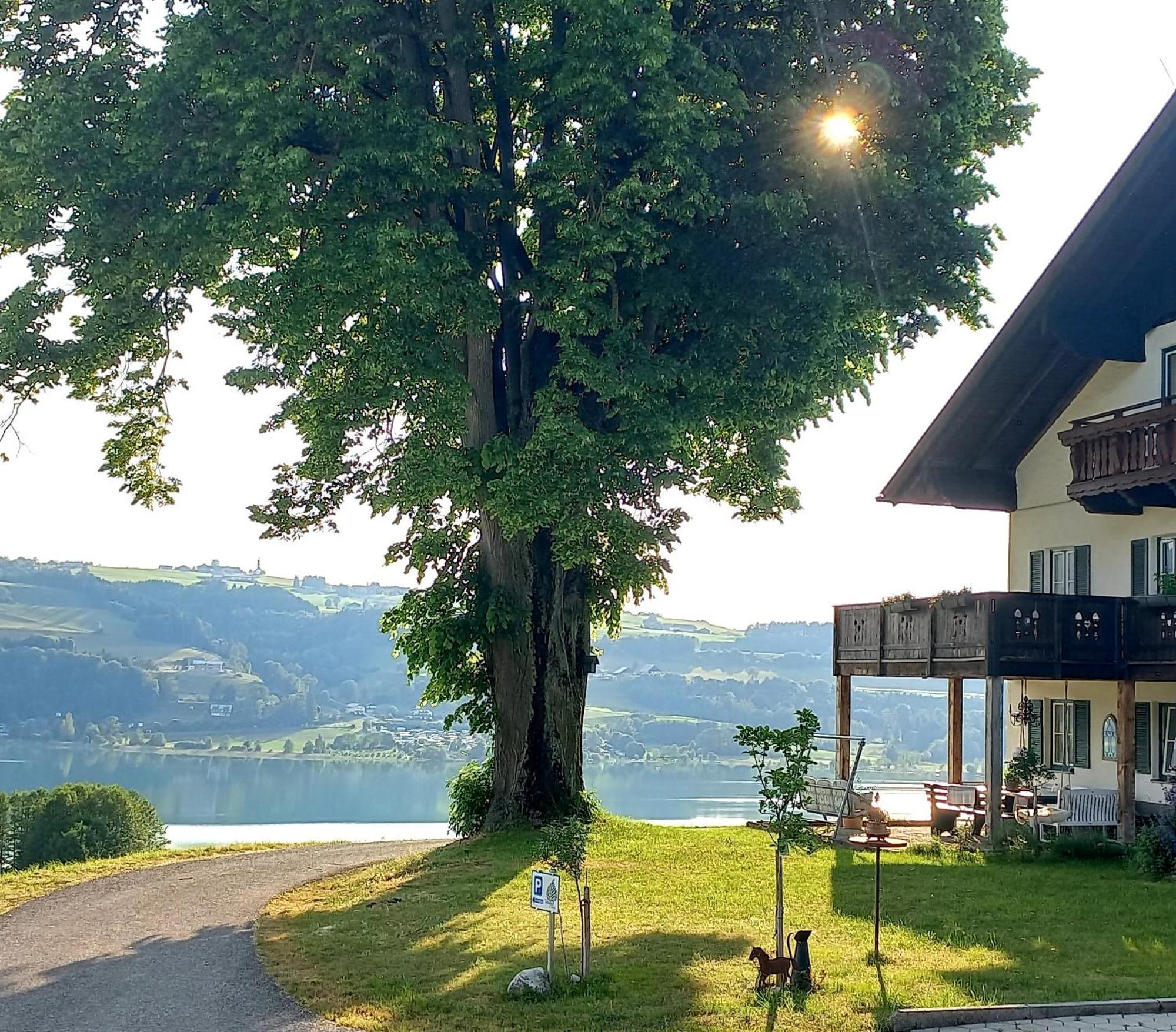 Roiderhof Irrsee Oberhofen am Irrsee Exteriör bild