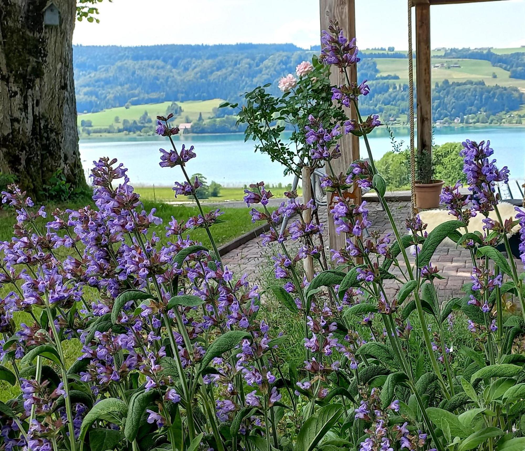 Roiderhof Irrsee Oberhofen am Irrsee Exteriör bild